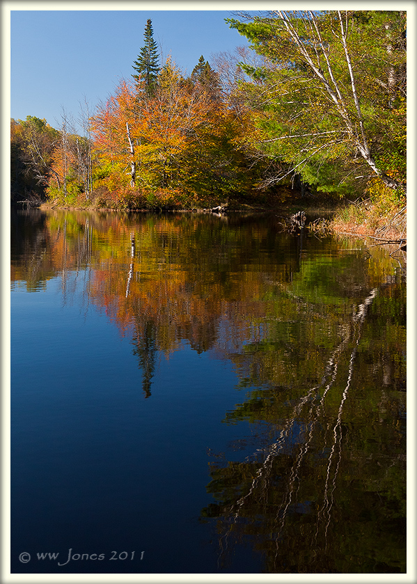 Bog River Blues + REPOST