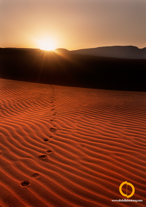 Trail of Hunger