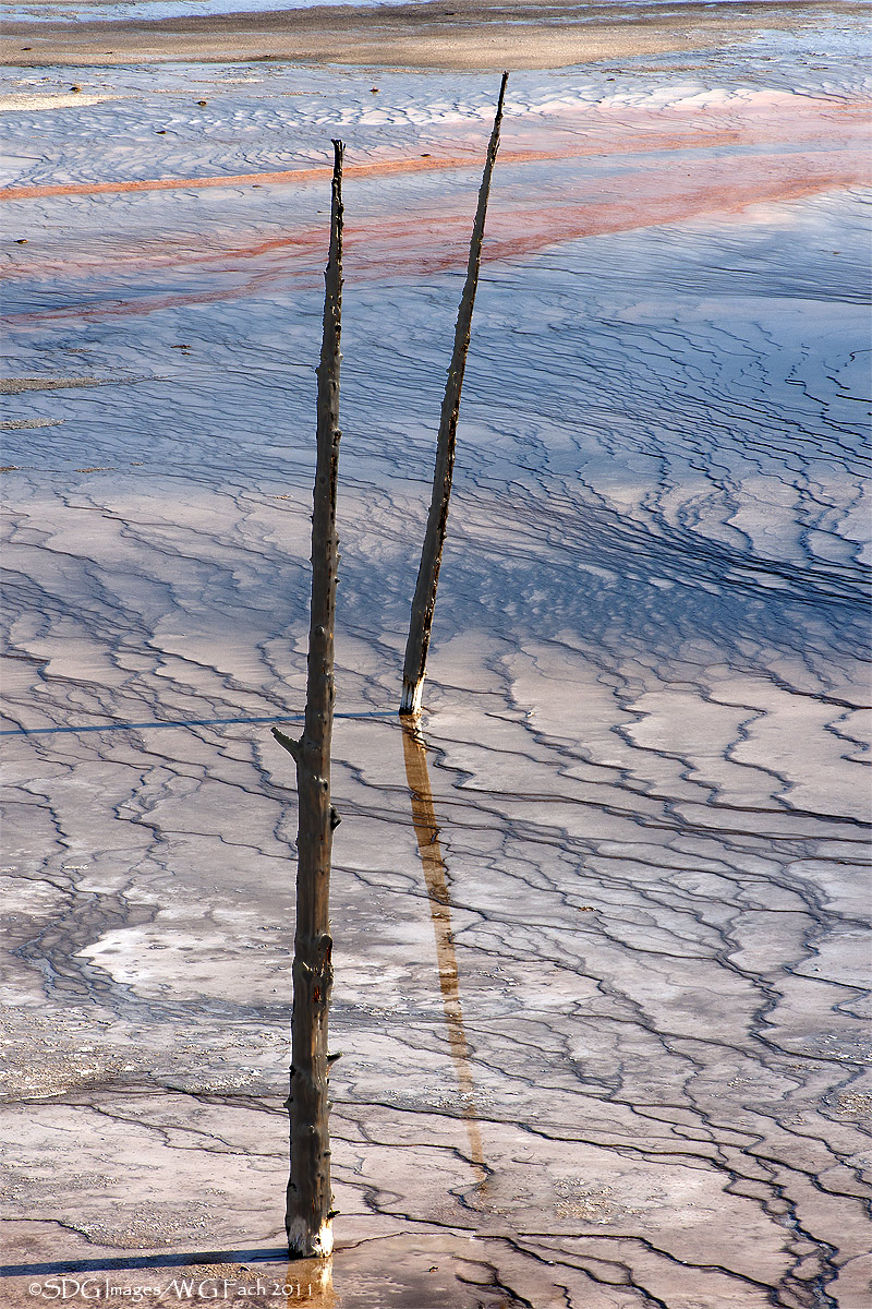 Two Sentinels