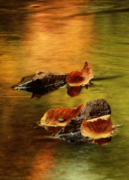 water reflection 
