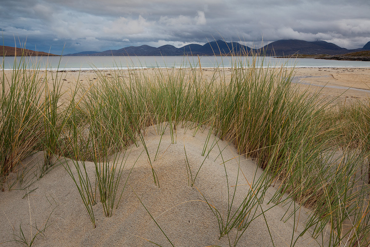 Grass, Mountains, Ocean