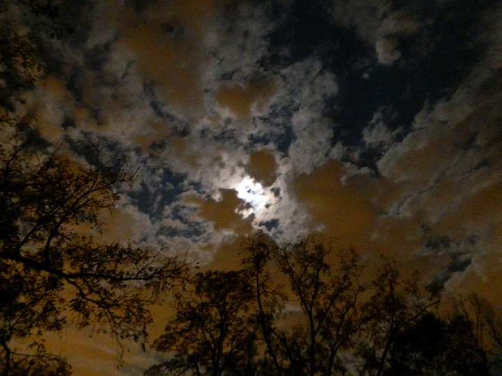 Orange Clouds