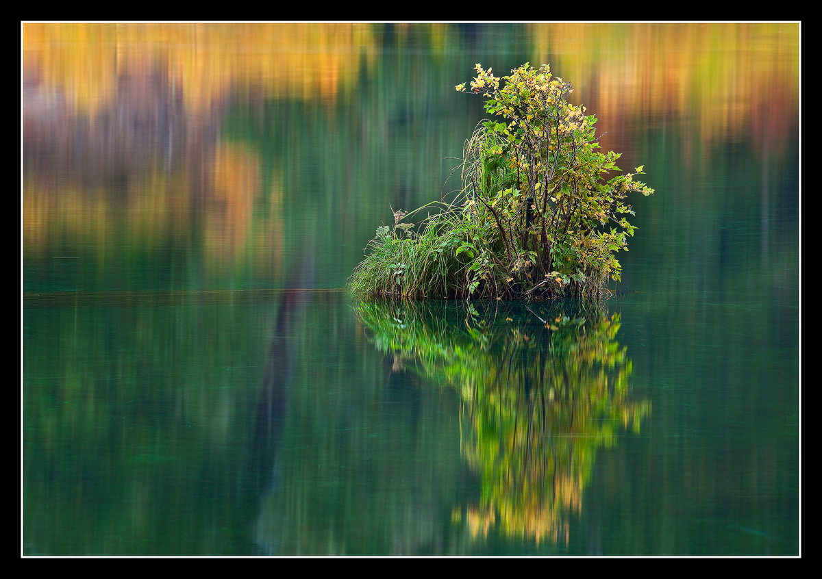 Fall at Clear Lake, OR