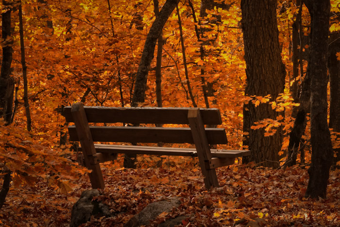 A nice place to sit