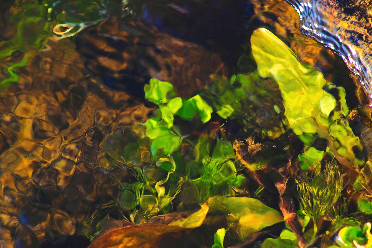 Headwaters--Fall Water