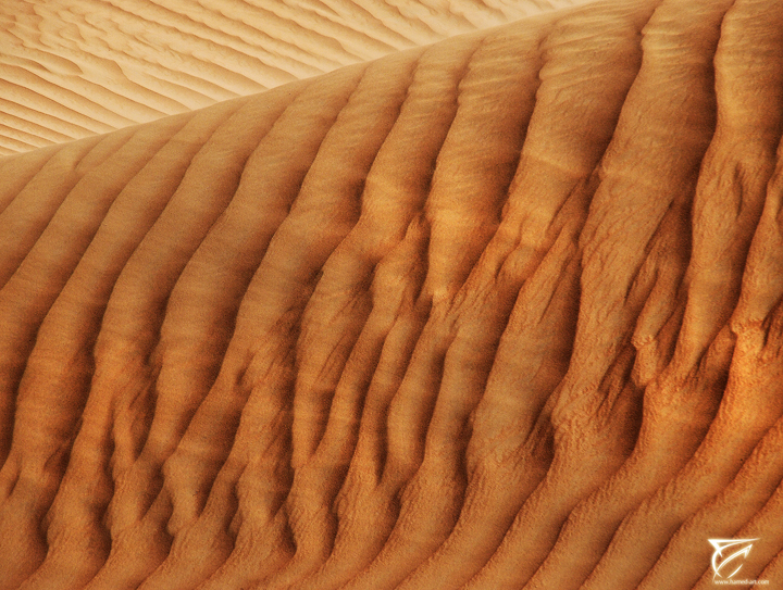 Lines