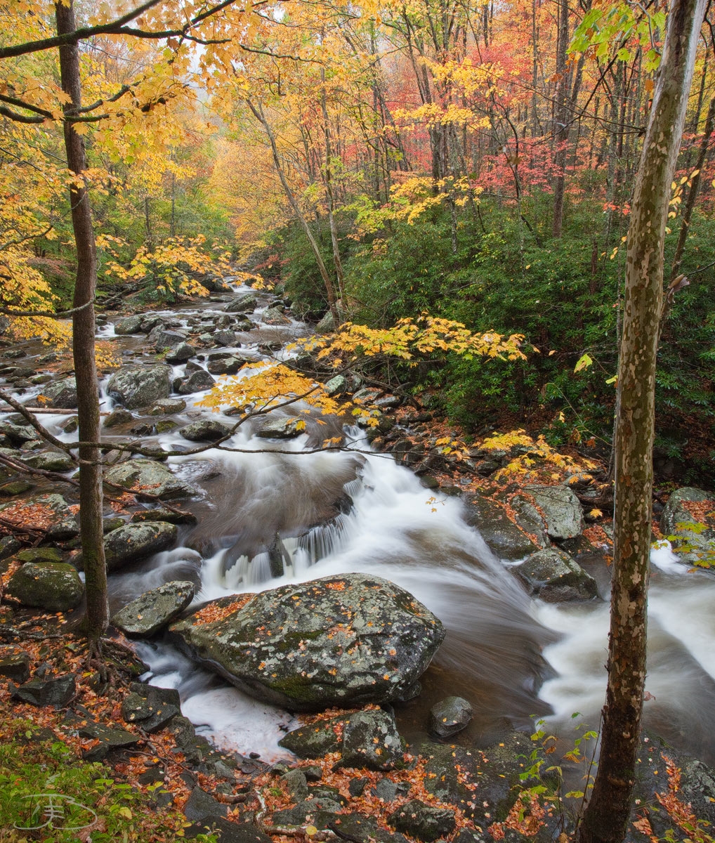 Smoky Mountain Gem