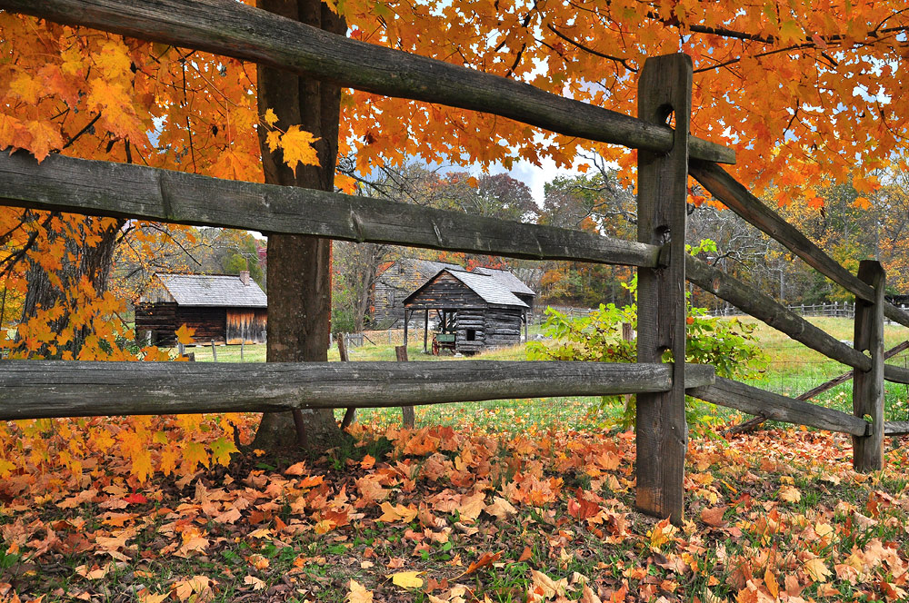 The Old Home Place 