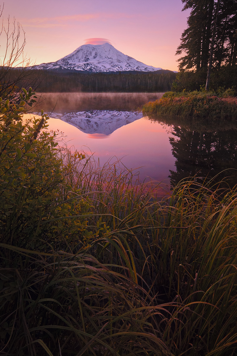 Simple Gifts [+edit]