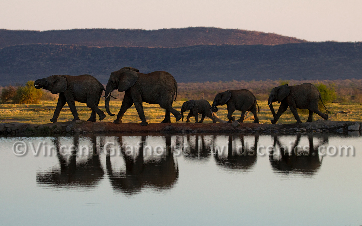 In Single File
