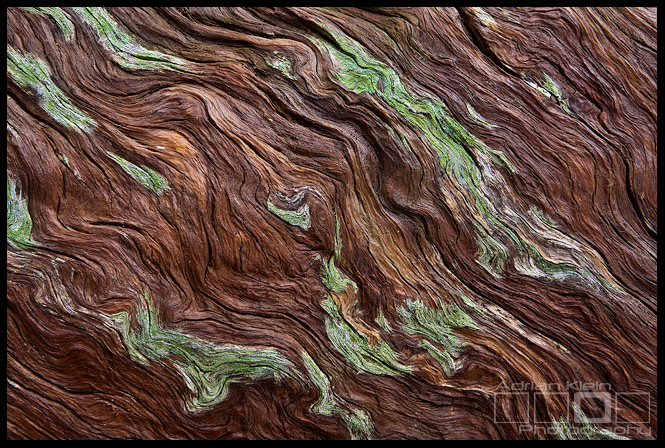 Jet Stream