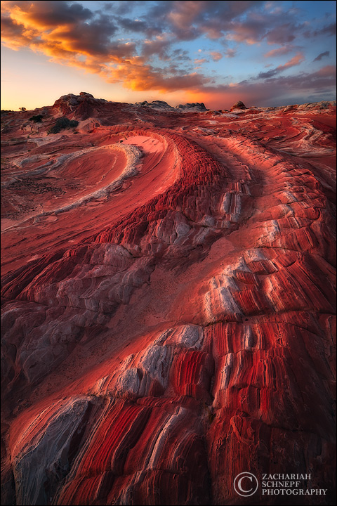 Red Dragon Tail