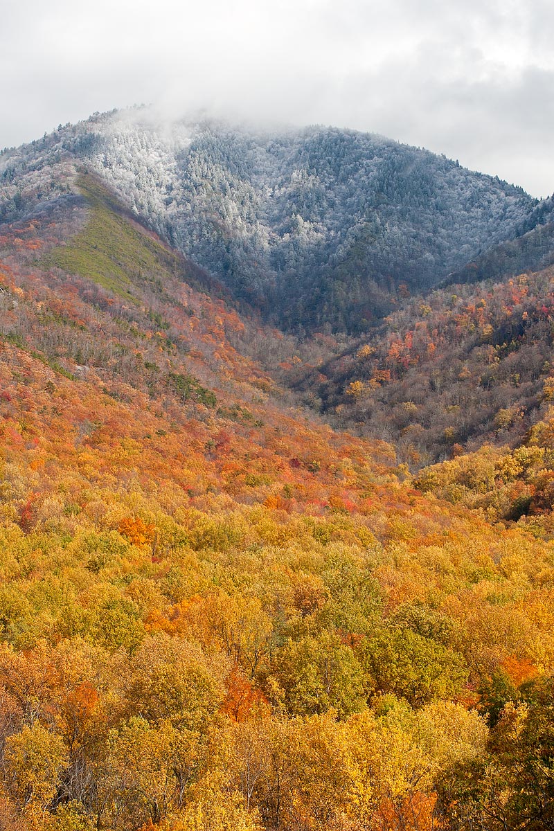Winter meets Fall