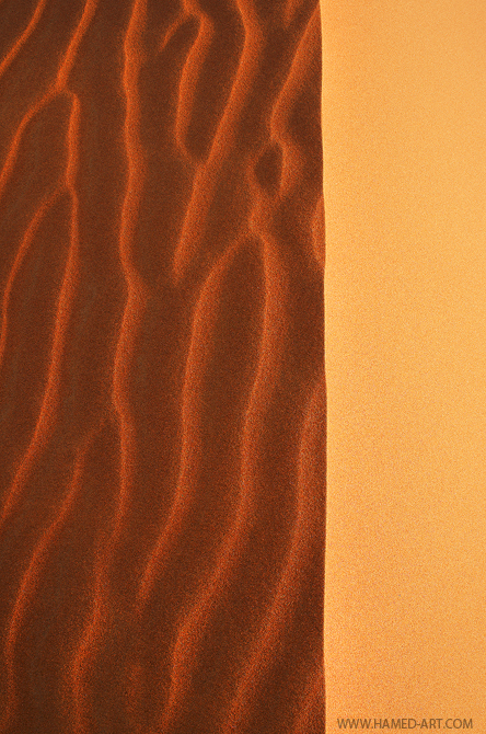 Desert Book