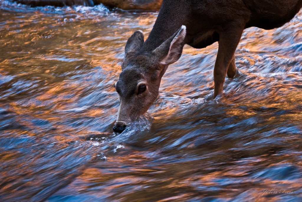 Thirst