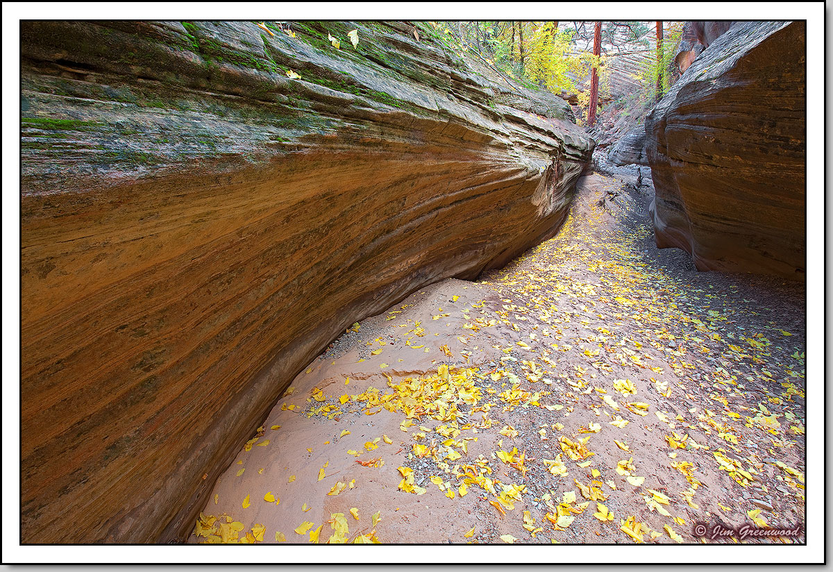 A Path to Sanctuary