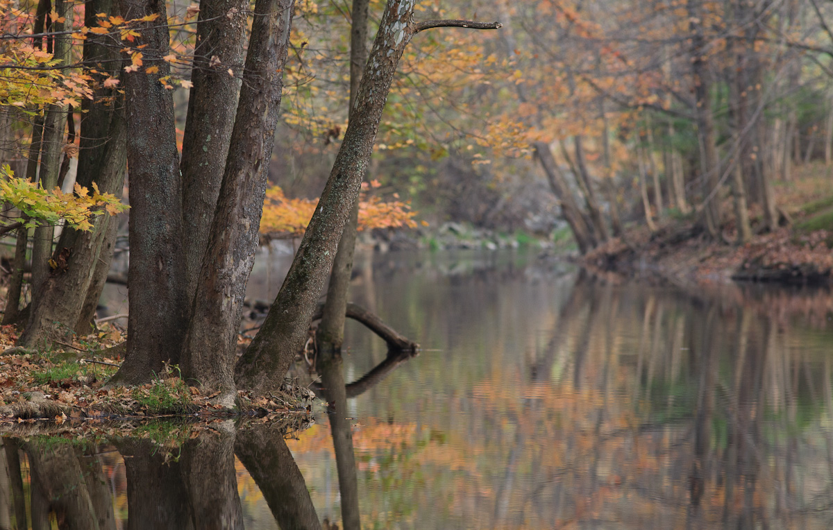 Fall Stream