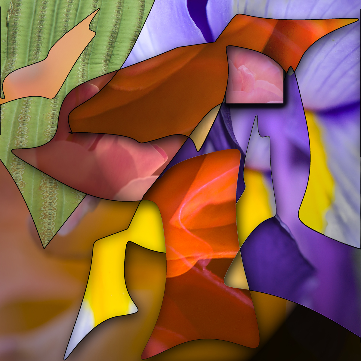 509 - Another Dimension