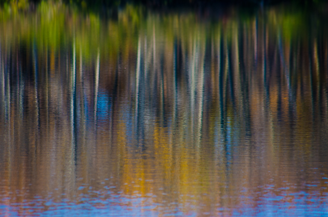 Fall reflections