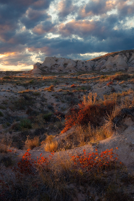 Coyote Country Sunset