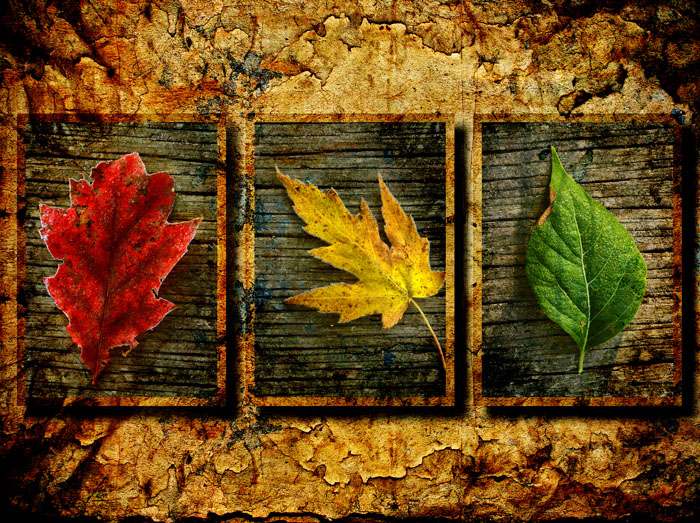 Leaf triptych 