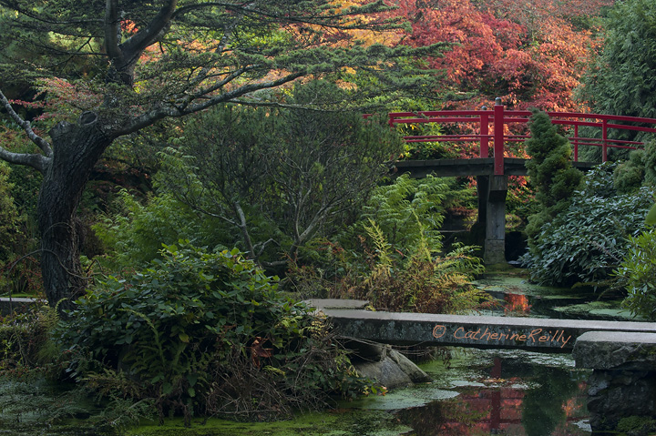 Bridges