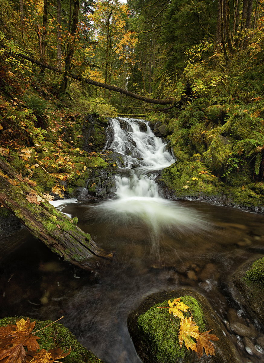 Fall in the Gorge
