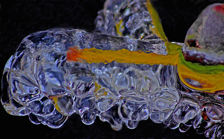 Headwaters--Caterpillar