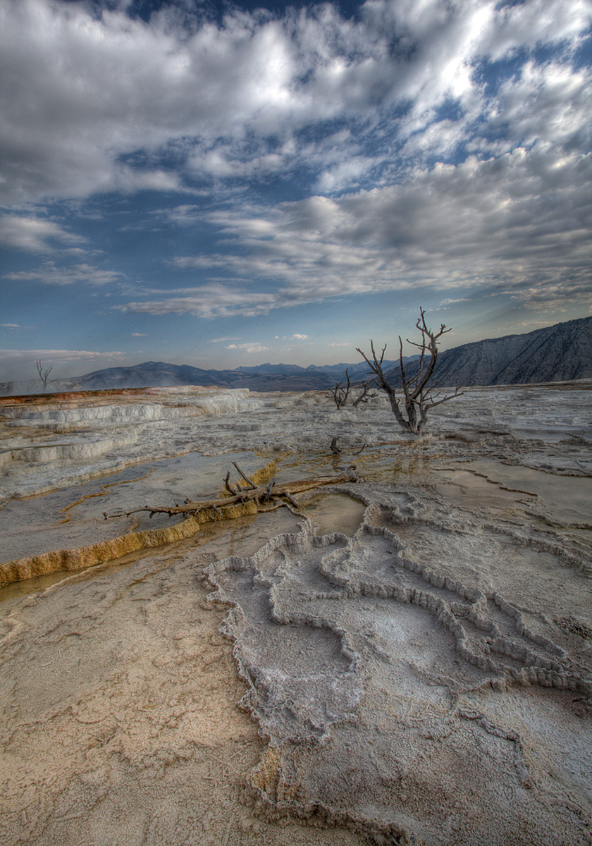 Mammoth Hot Springs