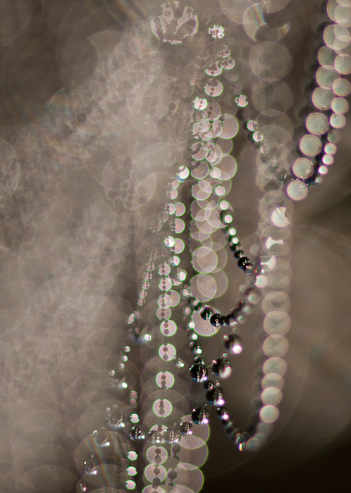 Chandelier # 510