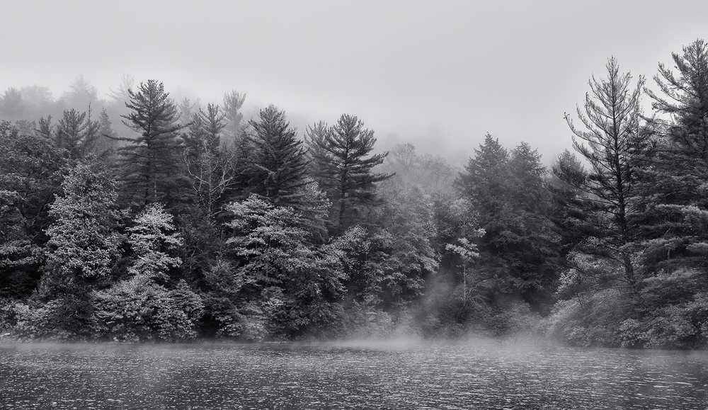 Fog, Lake Canasauga