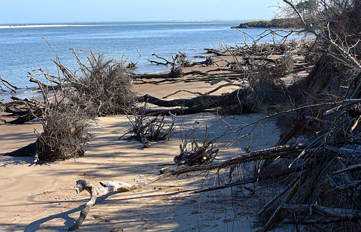 Beach Erosion