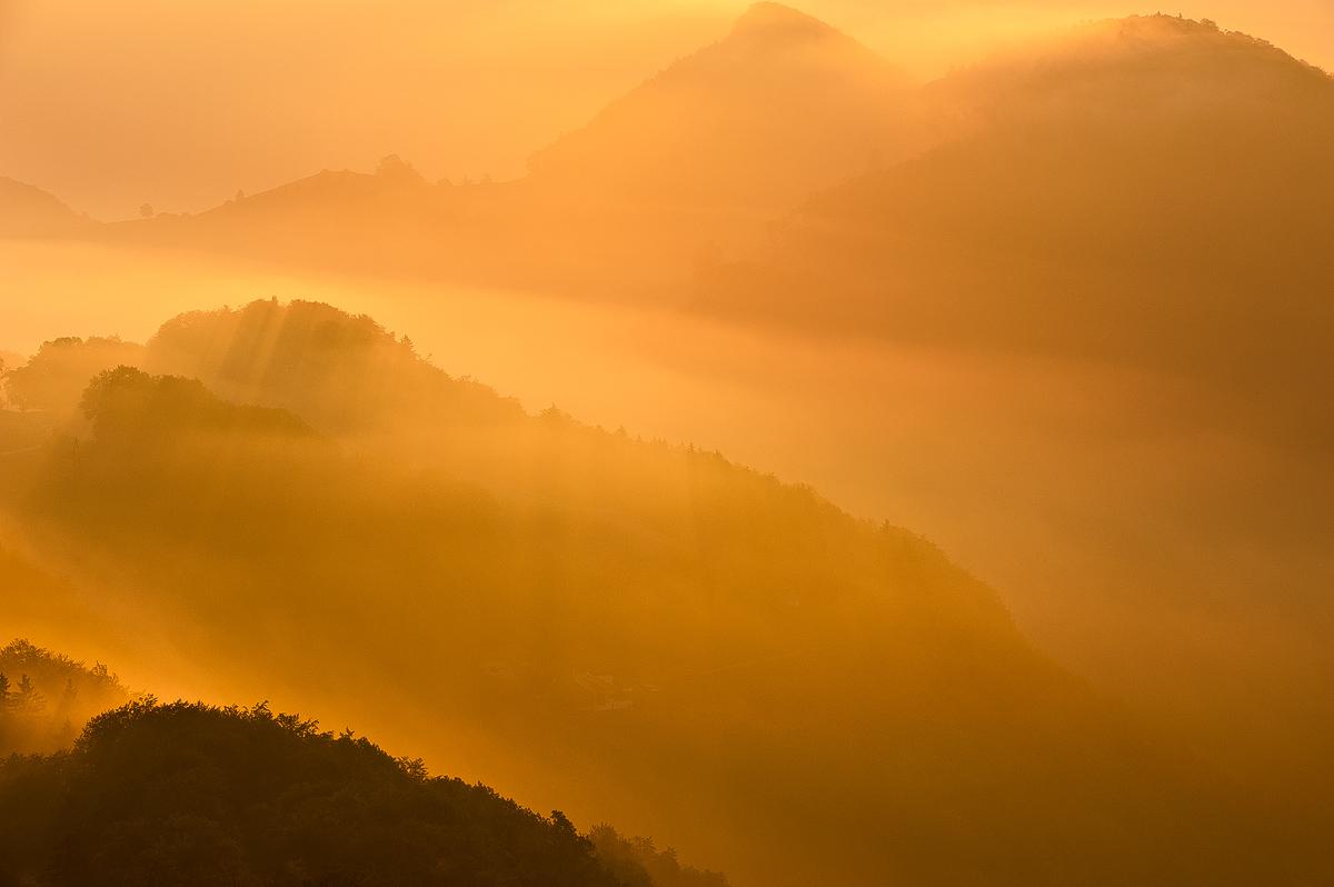 Golden Morning