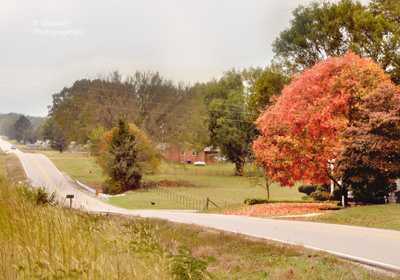 Country Road