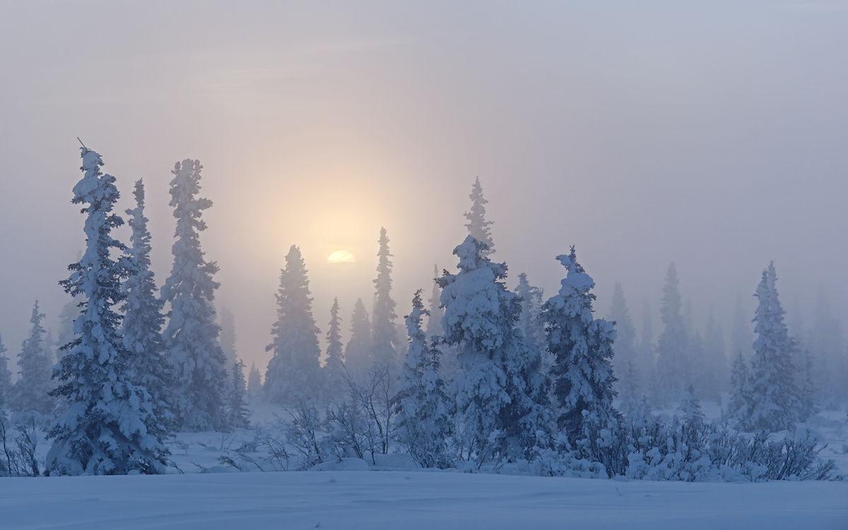 Ice Fog Sunrise