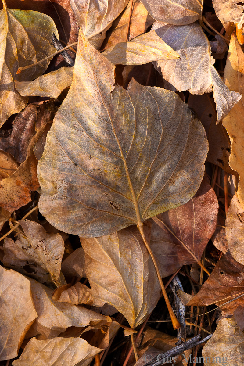 Falls Fallen