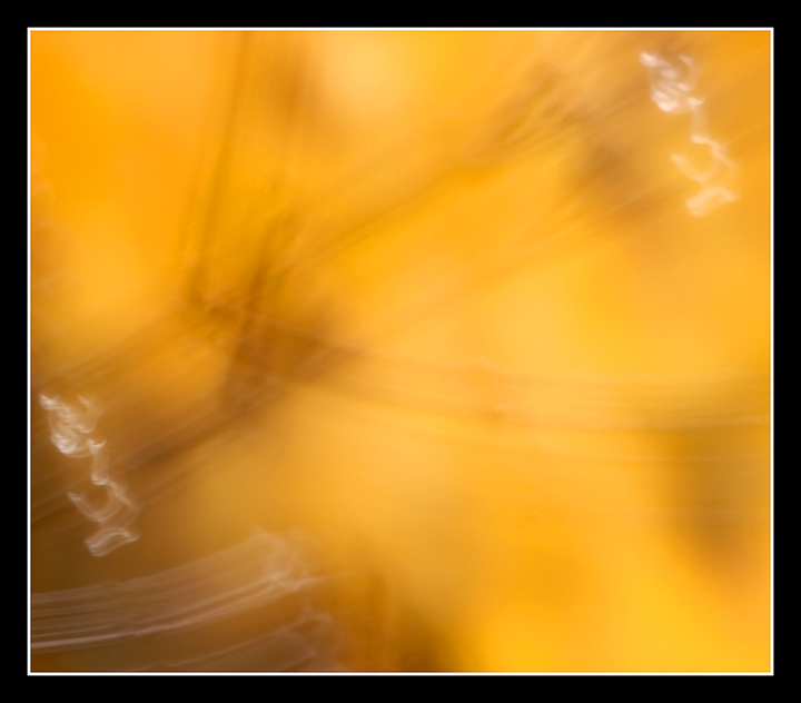 Movement