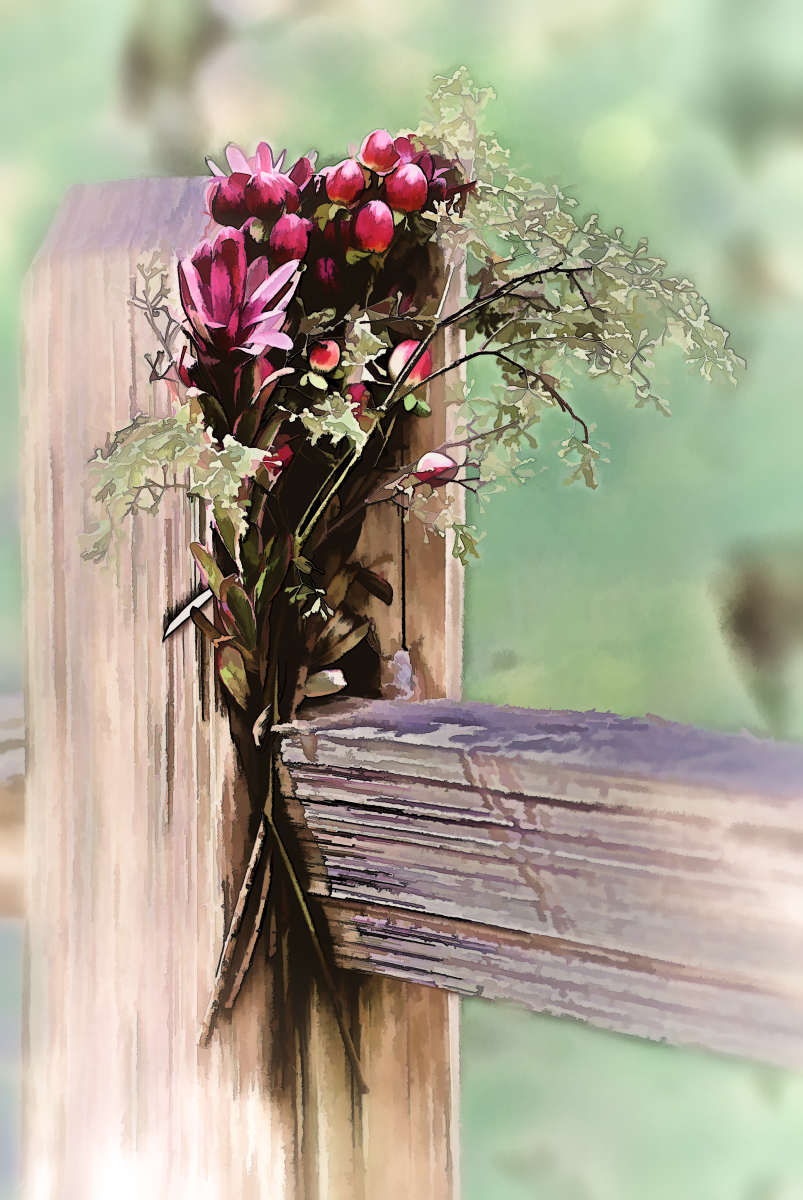 Flowers and Fence