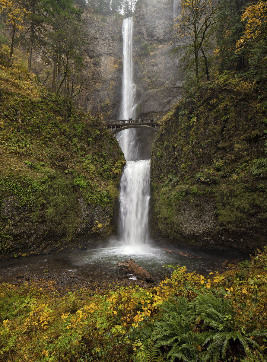 Multnomah Falls Fall 