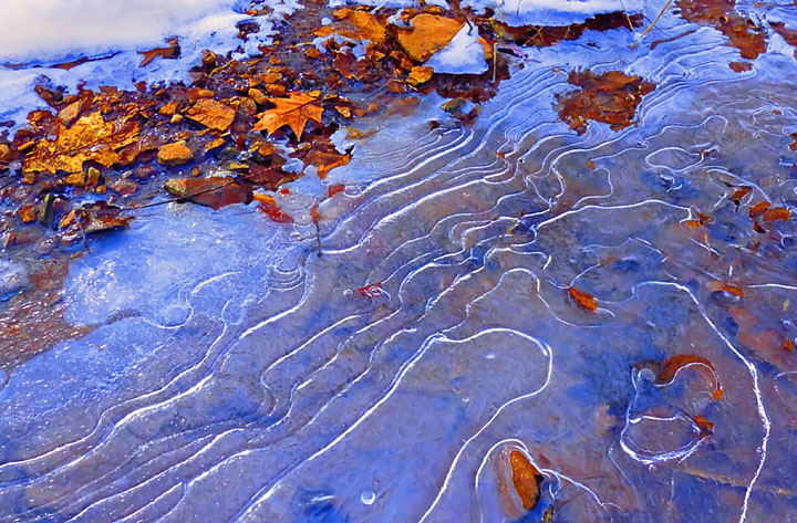 Fall/winter stream