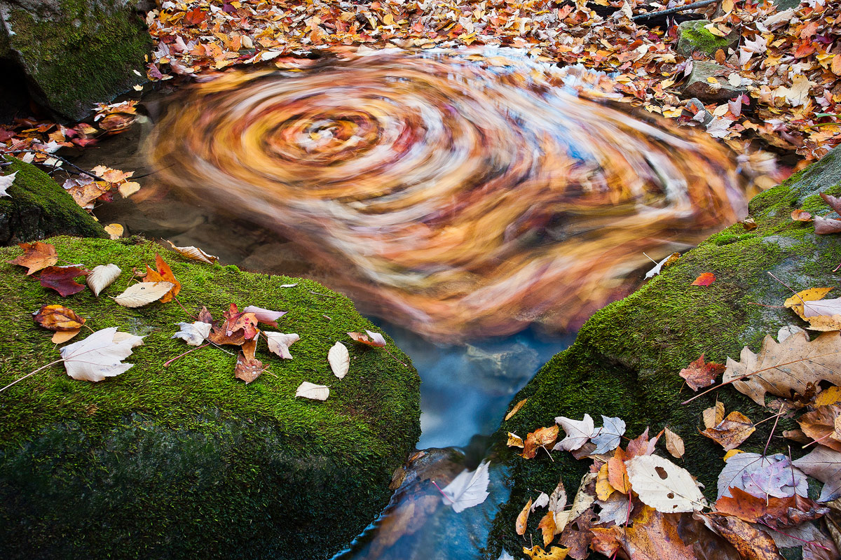 Last Dance of the Leaves
