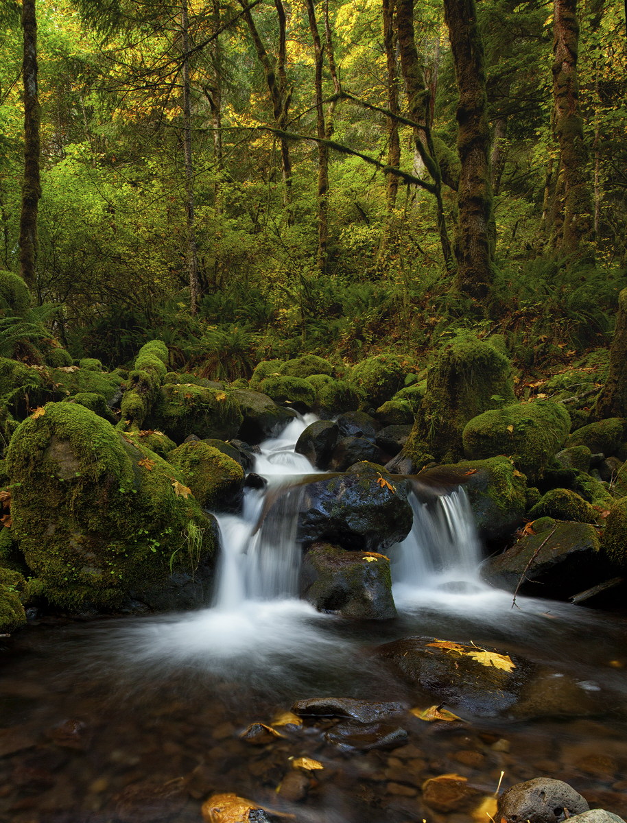 Dry Creek Falls