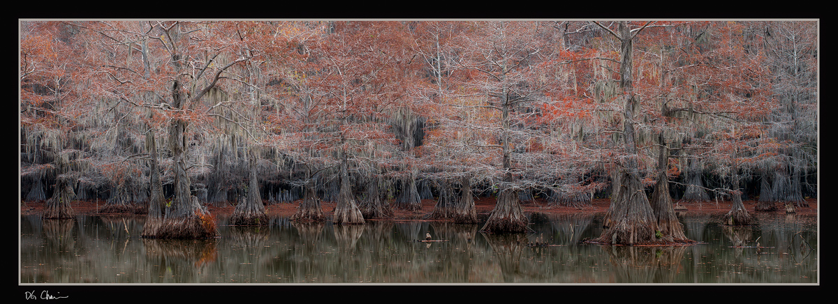 Benton Pano Revisited