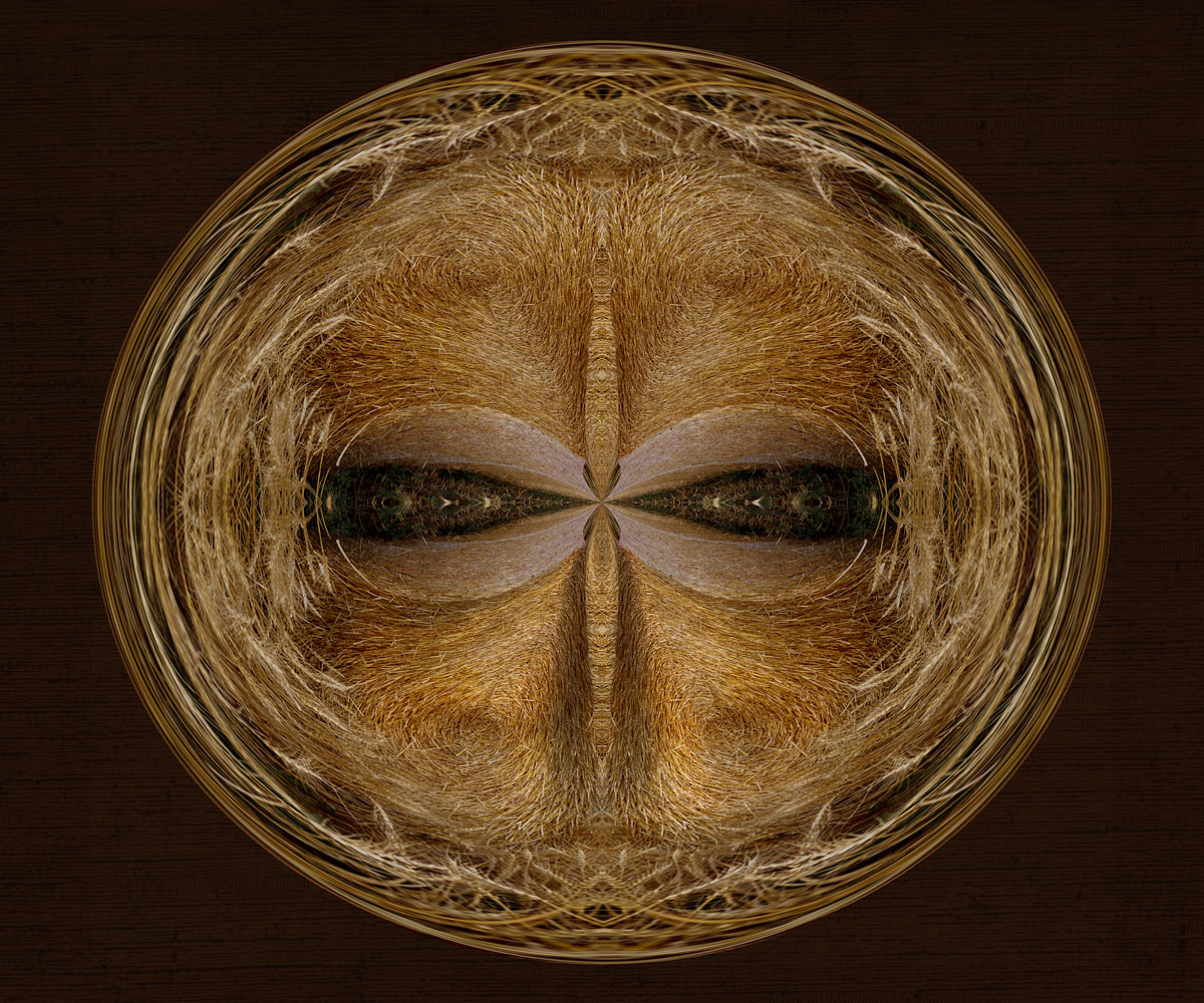 Spirit of the Hay