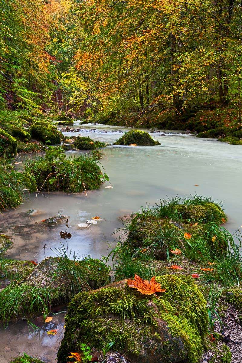 Gorge de l'Orbe