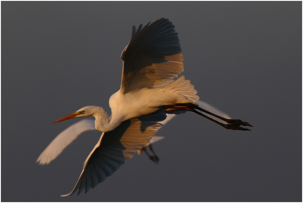 Egrett in  + repost