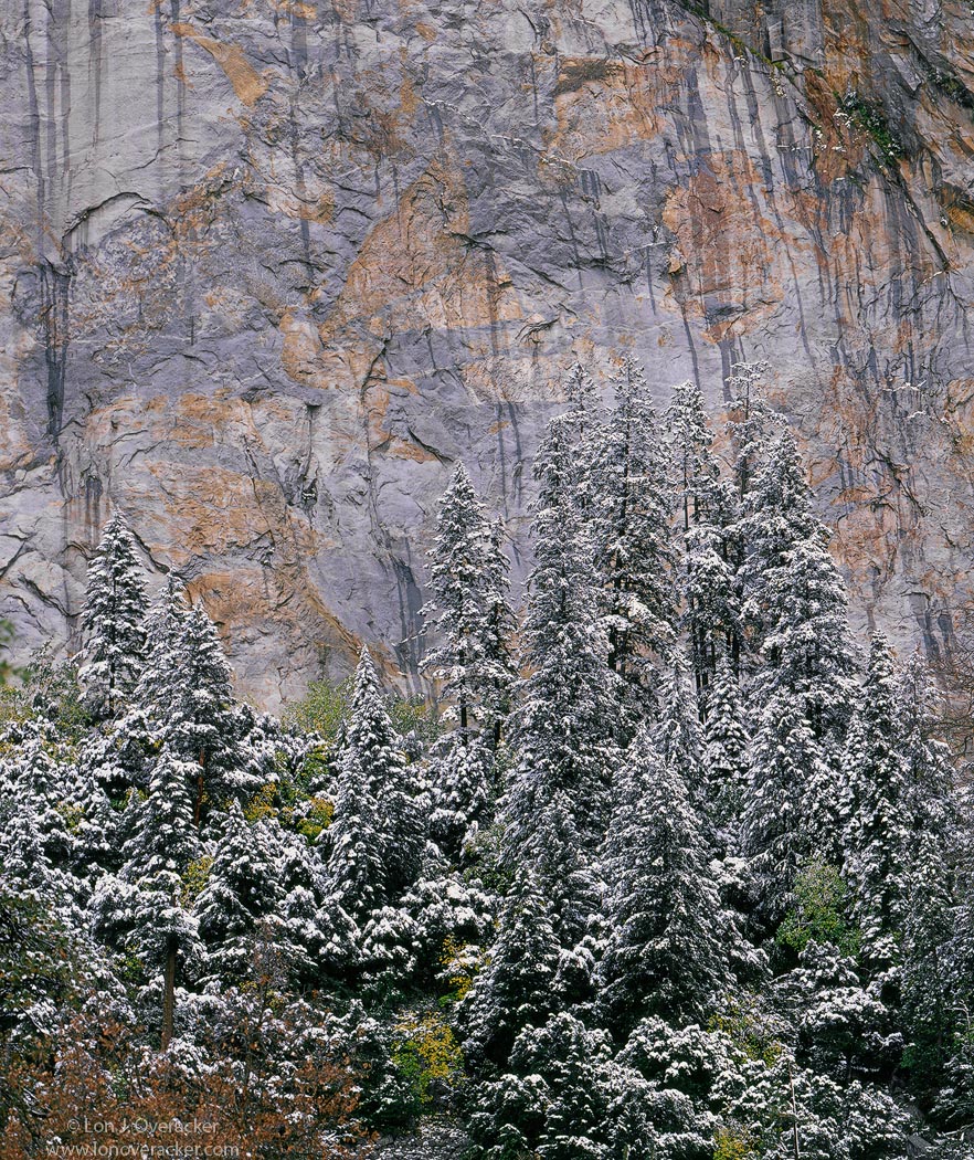 Yosemite Chronicles #2