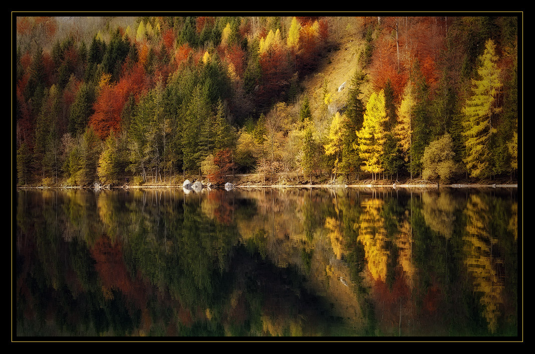 Autum Colours