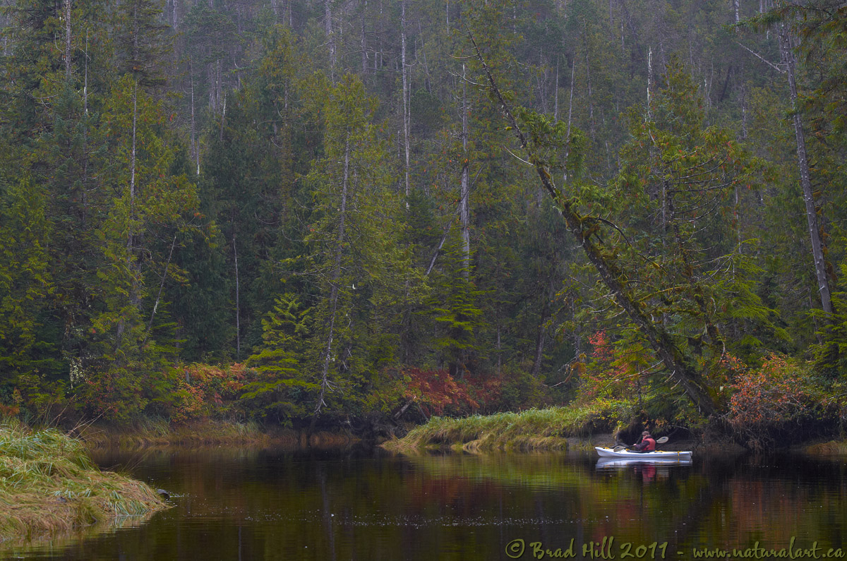 Kayaking the Great Bear
