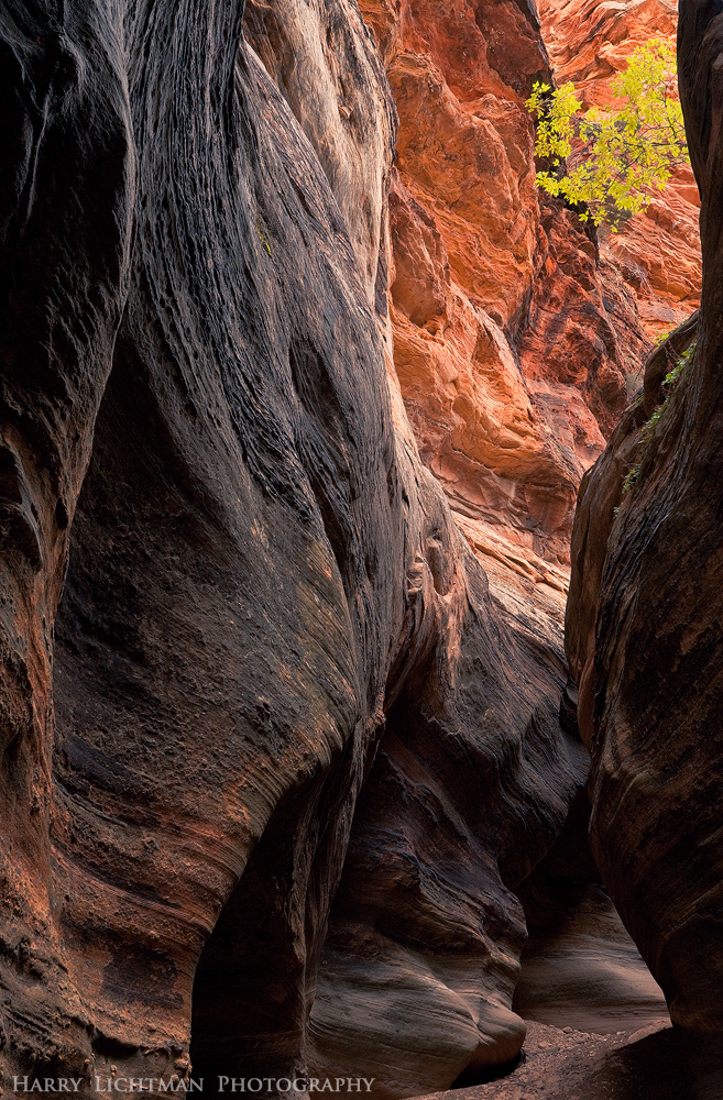High & Dry